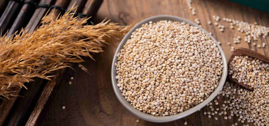 Quinoa: Um Supergrão para uma Vida mais Saudável e Saborosa